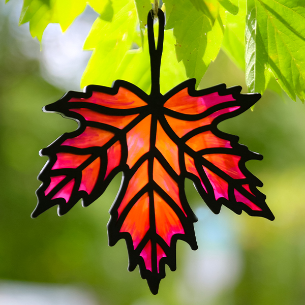 Fall - image features: Stained glass maple leaf hanging from tree