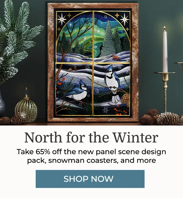 North for the Winter - 65% off - image features: northern lights panel scene - click here to shop